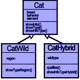 Cats Classes UML Diagram